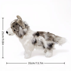 Realistic Border Collie Plush Toy Ultra Soft Stuffed Animal