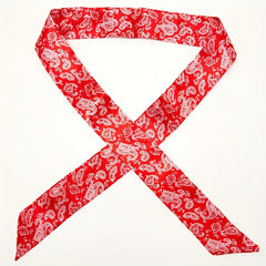 2pcs Paisley Print Twilly Scarf Vintage Ribbon Neckerchief