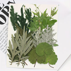 Dried Leaves & Flowers for Resin Crafts