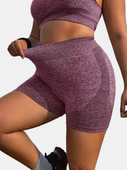 Seamless High Rise Yoga Shorts