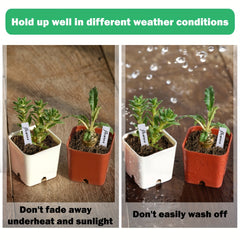 100 Plastic Waterproof Plant Labels Nursery Stakes