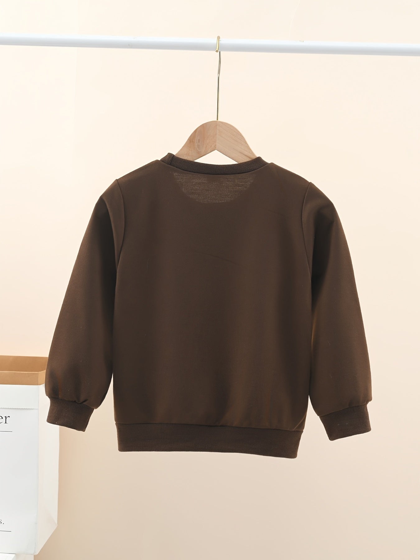 Casual Graphic Letter Print Sweatshirt For Boys