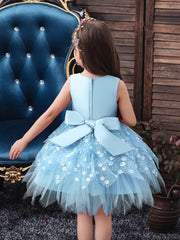 Girls Princess Dress Sleeveless Flower Embroidery Mesh Tutu Dress