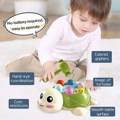 Interactive Turtle Hammer Toy for Toddlers