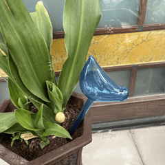 2 Pcs Plant Waterer Self Watering Globes Bird Shape Hand Blown Clear Plastic