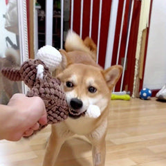 img_4106452