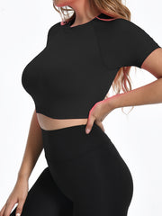 Seamless High Neck Yoga Short T-Shirt Crop Top High Stretch Women's Activewear