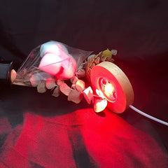 Colorful Wood Display Lamp DIY Night Light