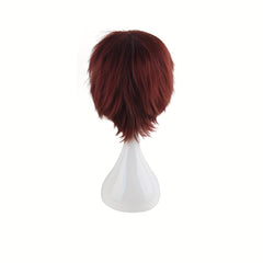 Men's 14 Inch Anime Cosplay Wig Chemical Fiber Costume Wig