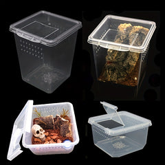 Enhance Pet Breeding: 8 Crawling Pets & Breeding Boxes