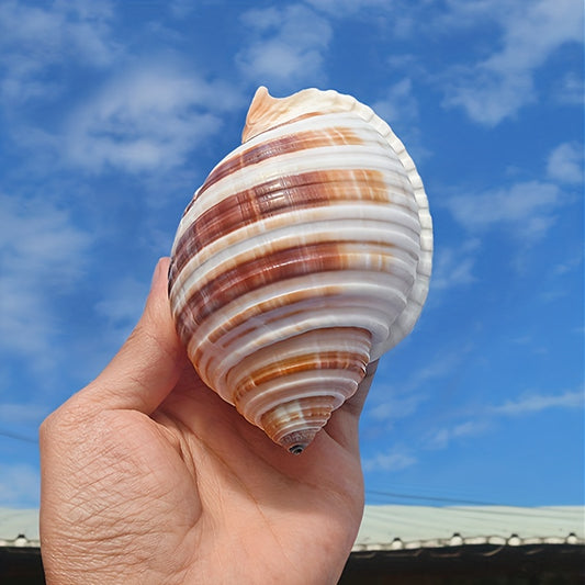 Conch Shell Aquarium Ornament Seashell Decor