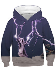 Unicorn 3D Print Boys Hooded Sweatshirt Spring Fall Kids Clothing