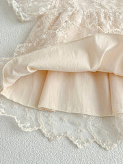 Toddler Girls' Lace Sweet Princess Dress For Party