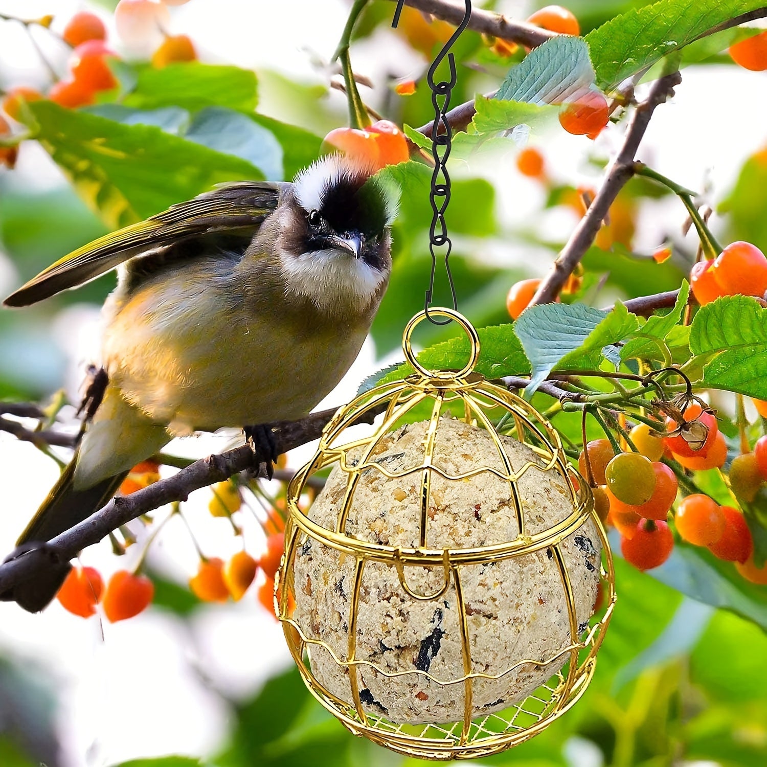 Metal Bird Suet Holder Hanging Feeder For Garden