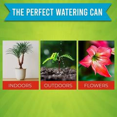 1/2 Gallon House Plant Watering Can Long Spout Indoor Outdoor Adjustable Head