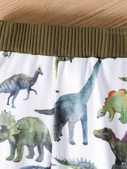 Boys Dino Print Outfit Long Sleeve Top Trousers Set