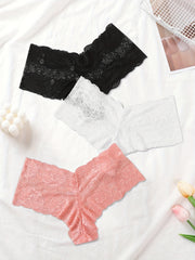 3 Pack Plus Size Sexy Lace High Waisted Briefs Set