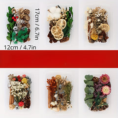 Dried Fruits & Flowers DIY Kit Natural Plants Pine Nuts Cinnamon Decor