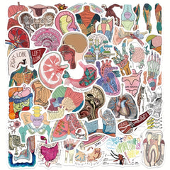 50pcs Anatomy Cartoon Organ Stickers Waterproof Stickers