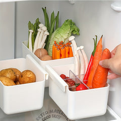 Refrigerator Side Hanging Food Storage Box Plastic
