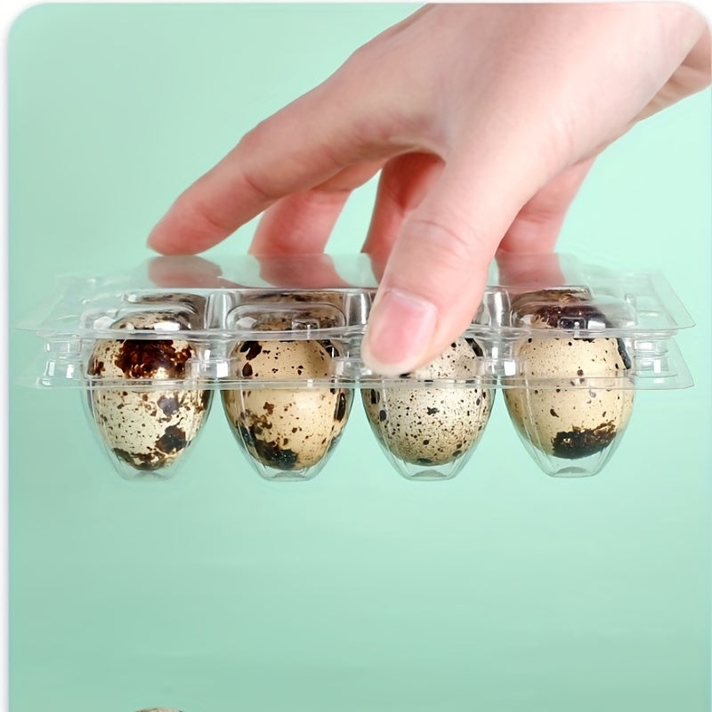 12pcs Quail Egg Packaging Box PET Plastic Holder