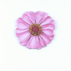 3D Visual Flower Sticky Notes 25 Sheets Pack