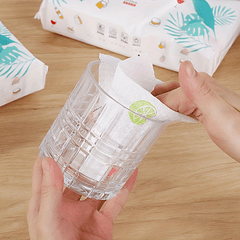 100pcs Outdoor Camping Wiping Paper Disposable Dry and Wet Dishwashing Cloth