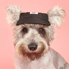 Dog Sun Hat w/ Ear Holes for Summer Outdoor Travel