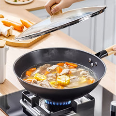 Zhang Xiaoquan Iron Cooker Home Magnetic Stove Small Gas Stove V9195