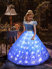 Princess LED Dress Sequin Puff Sleeve Tulle Costume