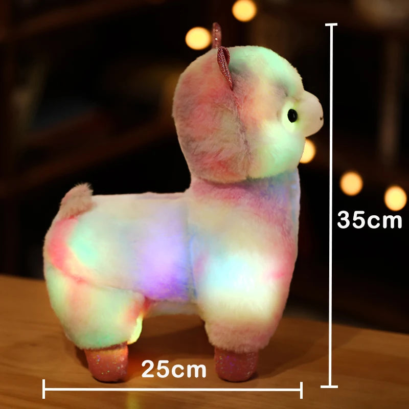 img_4993567