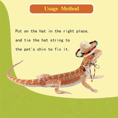 img_7387377