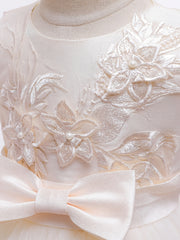Girls Princess Embroidered Mesh Tutu Dress