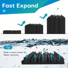 img_8008334