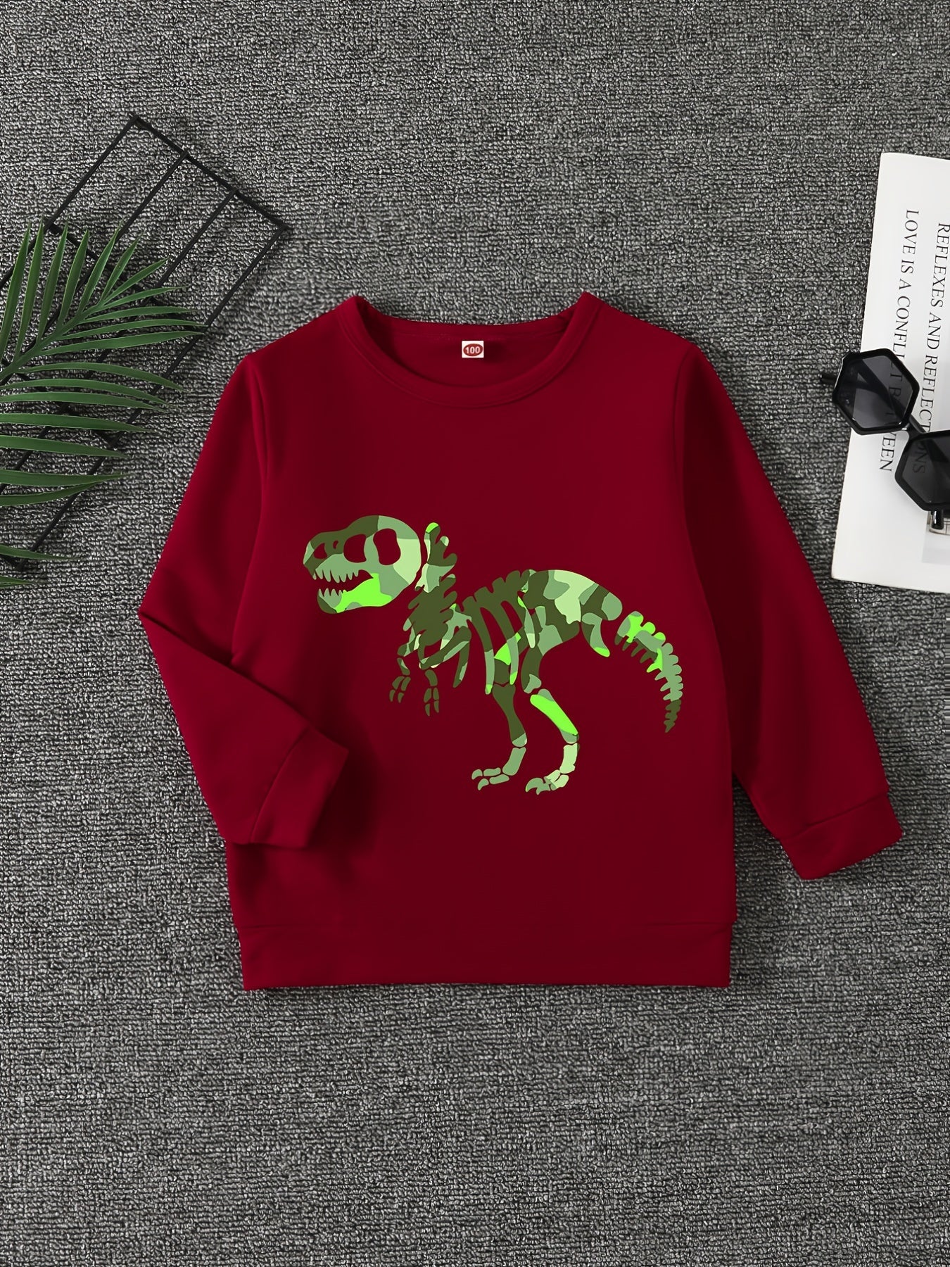 Boys Dinosaur Print Pullover Sweatshirt Long Sleeve Crew Neck Tops