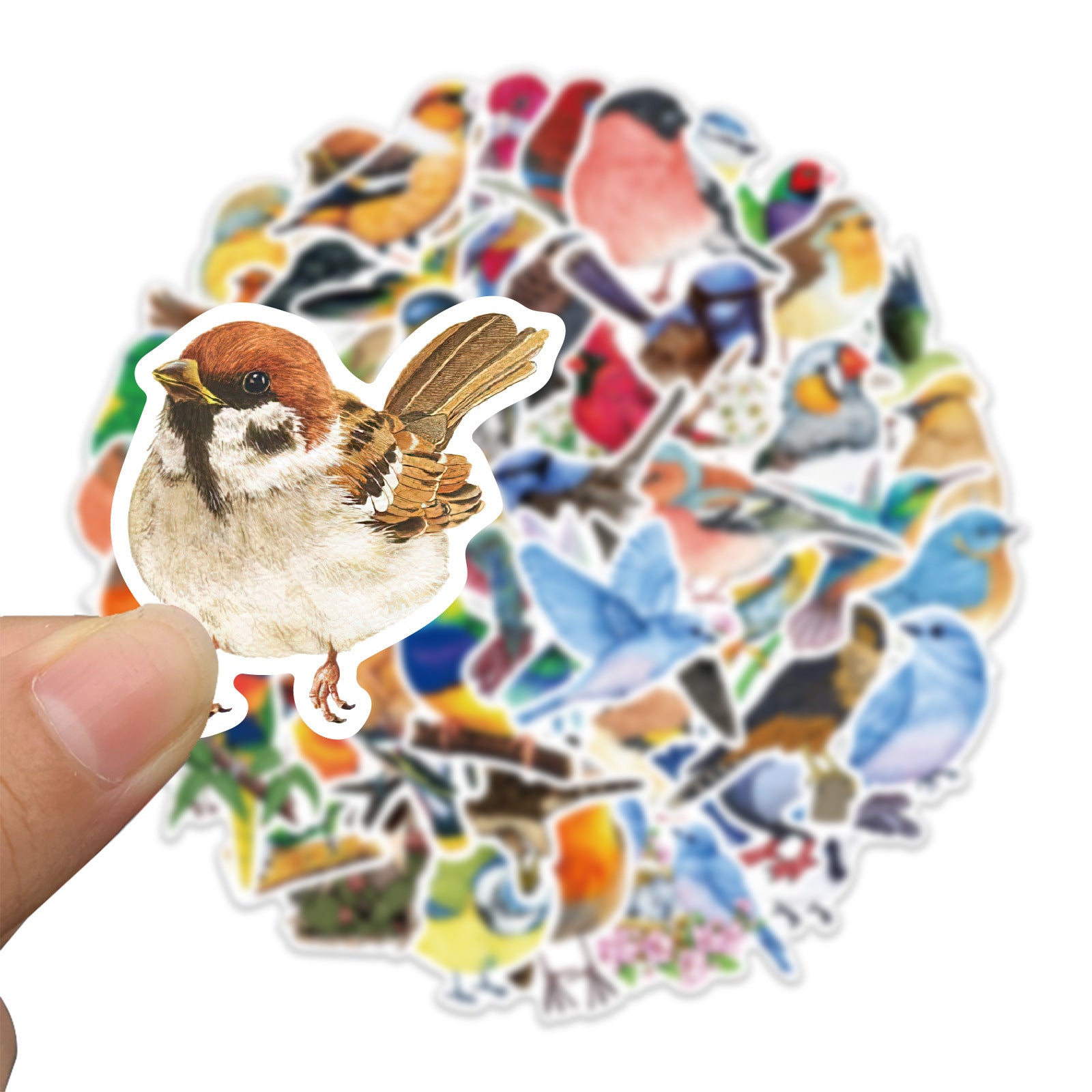 50 Watercolor Bird Stickers Parrot Finch Designs for Laptops Phones Cars