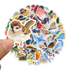 50 Watercolor Bird Stickers Parrot Finch Designs for Laptops Phones Cars
