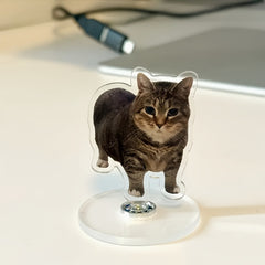 Oiiai Kitten 360 Degree Rotatable Cartoon Desk Decor Toy
