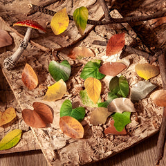 50pcs Fallen Leaves Washi Tape Autumn Decorative Stickers