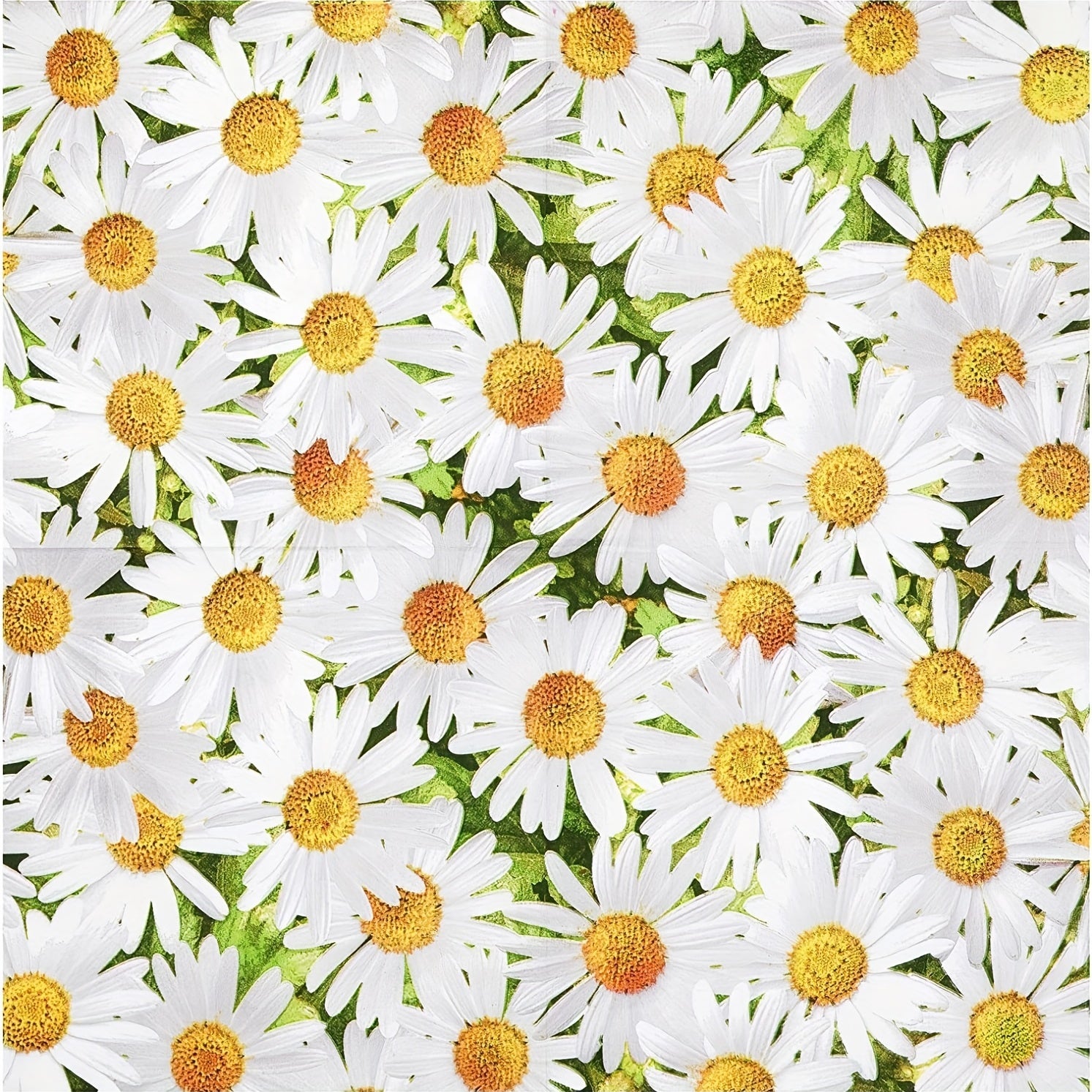Daisy Flower Party Supplies Set Disposable Dinnerware Plates Napkins & Cups