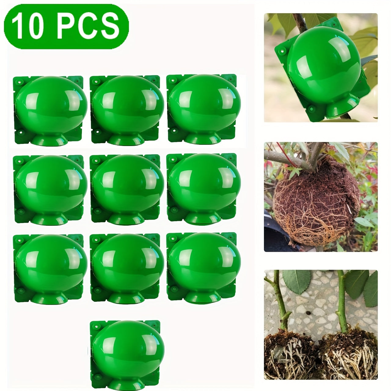 10pcs Reusable Plant Rooting Balls for Grafting