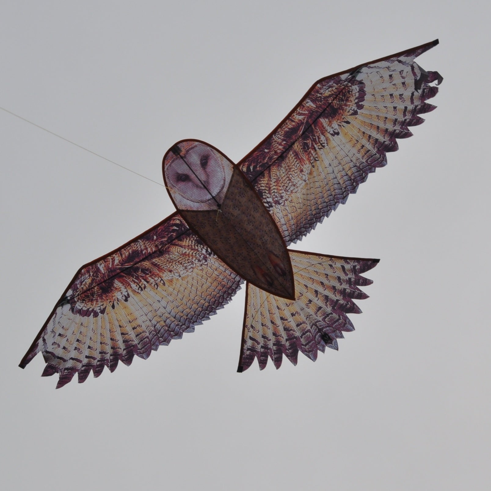 Lifelike Owl Kite Easy to Fly & Assemble Outdoor Fun Games Mini Bag