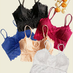 5pcs Lace Wireless Bras Scallop Trim Bra Women's Lingerie