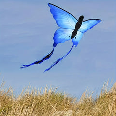 Butterfly Kite For Outdoor Fun Single Line Kite
