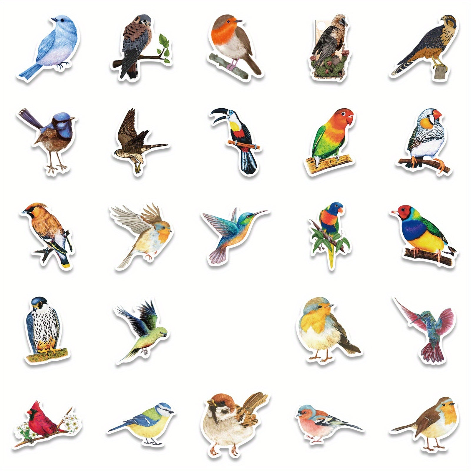 50 Watercolor Bird Stickers Parrot Finch Designs for Laptops Phones Cars
