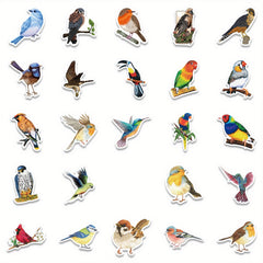 50 Watercolor Bird Stickers Parrot Finch Designs for Laptops Phones Cars