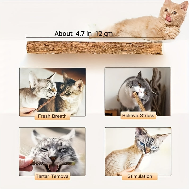 5pcs Cat Teeth Grinding Sticks Dental Care for Cats