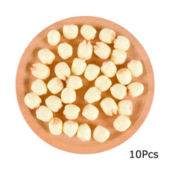 10pcs Realistic Lotus Seed Models Mixed Colors for Window Displays