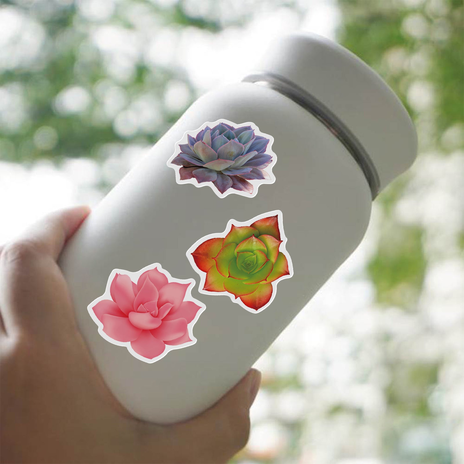 50 Adorable Succulent Cactus Waterproof Stickers for Phone Cases & Notebooks