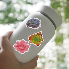 50 Adorable Succulent Cactus Waterproof Stickers for Phone Cases & Notebooks
